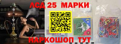 индика Лесосибирск