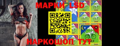 индика Лесосибирск