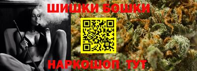 индика Лесосибирск