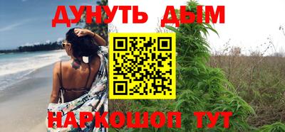 индика Лесосибирск
