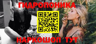 индика Лесосибирск