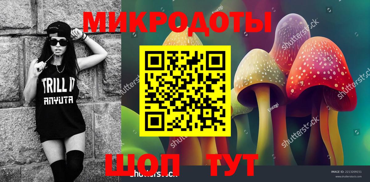 Галлюциногенные грибы Psilocybe Южноуральск